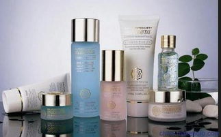 上海伯斯卡國際貨物運輸代理公司 一站式進口化妝品、食品與家具清關服務